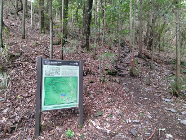 志佳陽大山登山步道2520079