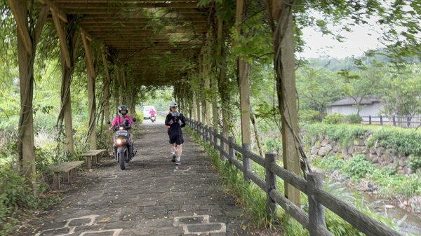 20250504-《探旅新北2025｜三芝定向越野賽全紀錄》2852445