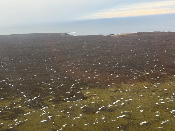 [紐約馬之行-50] 2025_1109~11 回到冰島/美國2952667