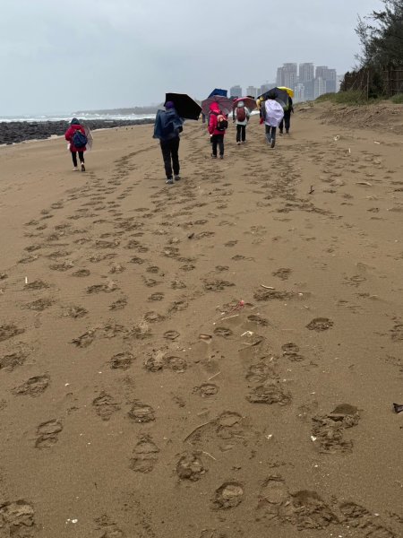 4-4 沙崙→望高樓遺址→清法滬尾戰役四部曲→公司田溪出海口、溪畔→淡海輕軌→淡水老街→內湖運動中心2690235