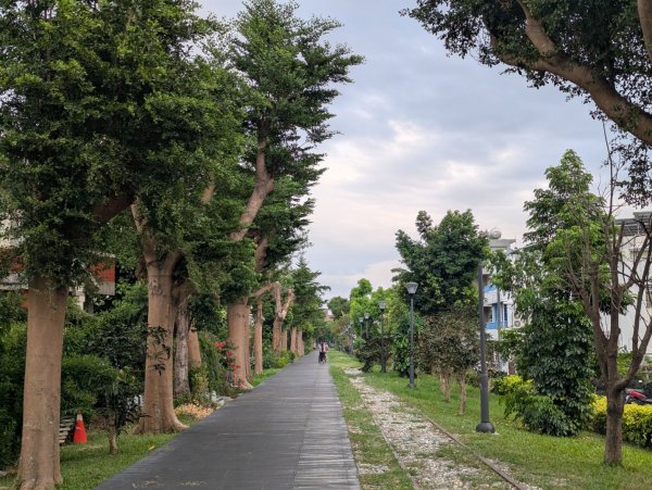 台東鯉魚山2924378