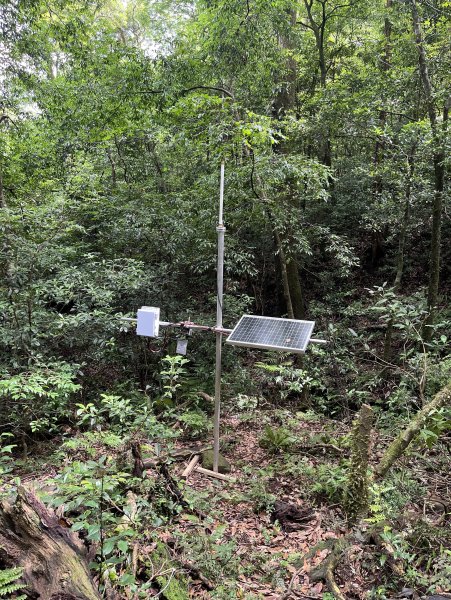 2025_0601 北插天山2802337