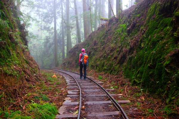 迷霧幽幽~特富野古道691938