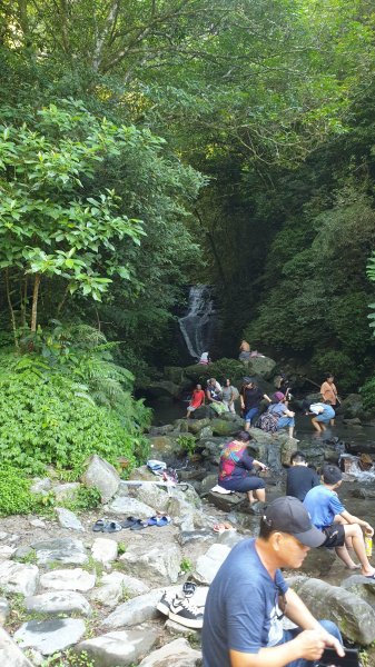 聖母登山步道（抹茶山）2005789