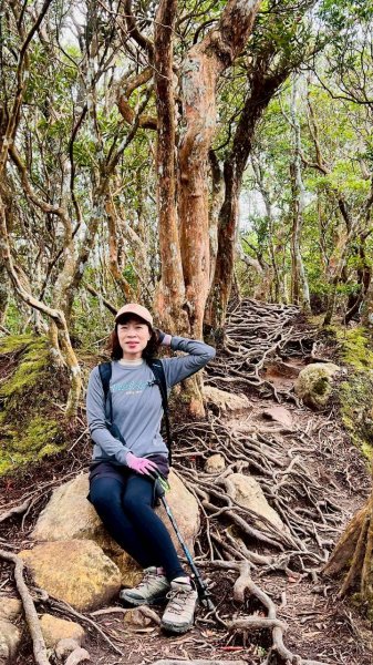 🌈12/28（日）北得拉曼神木+內鳥嘴山✨FB：熊熊趴爬走🌈2971295