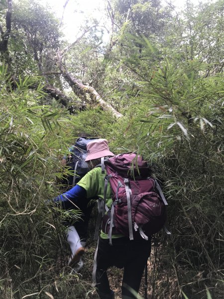 哈盆古道-波露南山-波露山O型走1475876