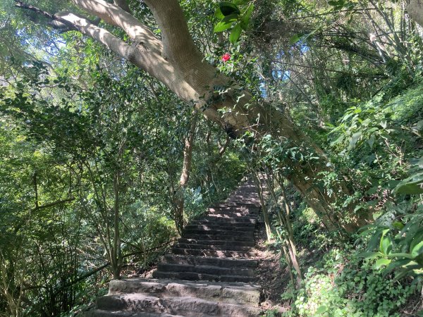 觀音山硬漢嶺登山步道+北橫古道+尖石步道2402130