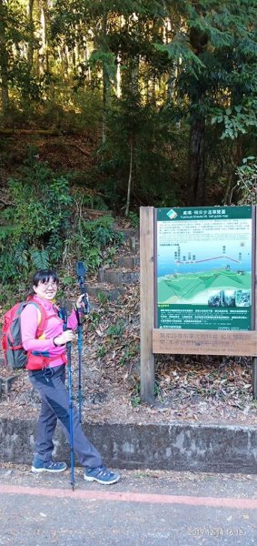 108.12.14台中稍來山（紅榨槭，夕776883