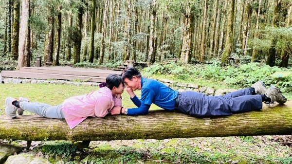 🌈228連假北橫賞櫻客製化四日遊Day2 FB：熊熊趴爬走🌈2724612