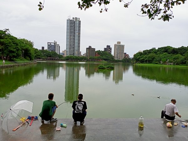 《細雨霏霏的碧湖公園環湖步道》1433548