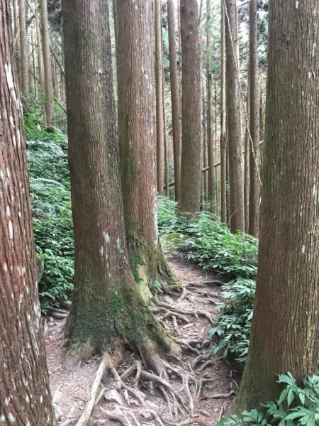 加里山鹿野線461354