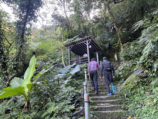 2025微笑山線大縱走尋寶集章任務-Ep.04【天上山系】望月亭桐花段｜石門內尖山東峰 ×石門內尖山2979082