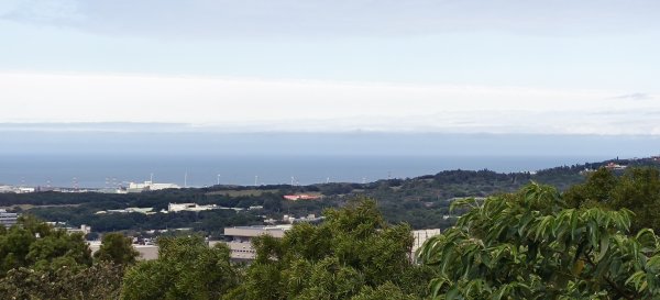 2026/01/25-五酒桶山、山鼻山步道2988107