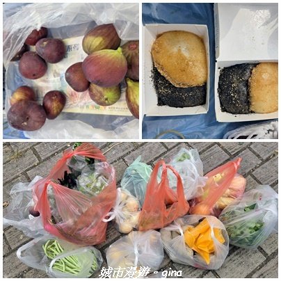 【彰化】員林藤山步道x田尾公路花園3016569