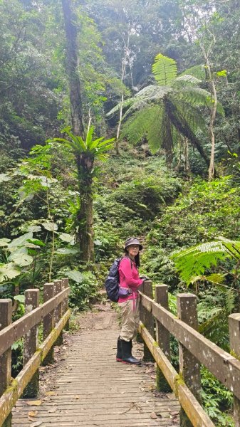 五指山走春3009589