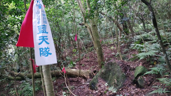 ✅興福寮/巴拉卡舊水管路-開墾地遺址 (全段擴徑增繩.重整完成)2506771