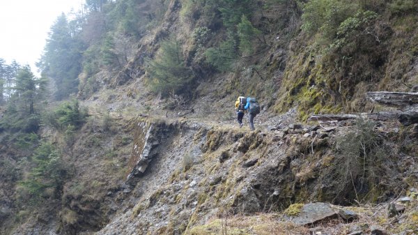 深藏在郡大林道被遺忘的明珠清水山、金子山、郡大山三日1943839