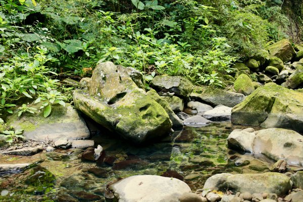 南坪古道：油羅溪上游814425