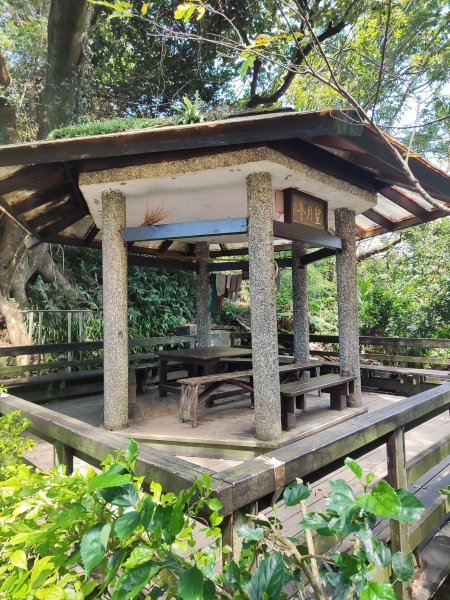 微笑山線：【天上山系】望月亭桐花段2860686