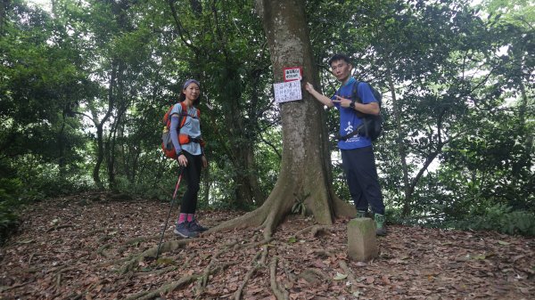 雙石縱走登山健行趣(小百岳24號&25號)2169503