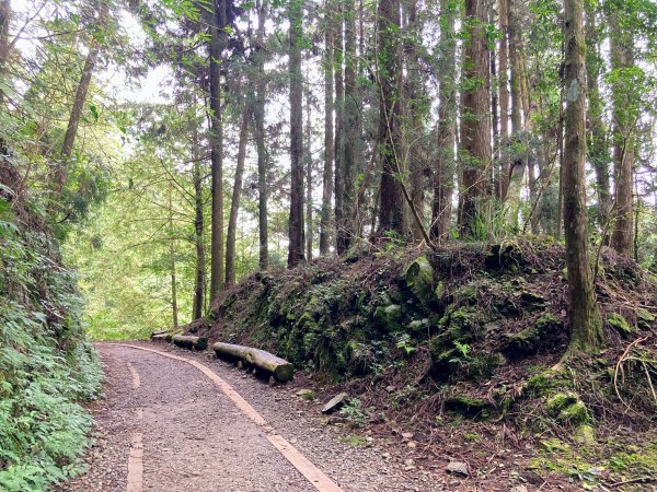 特富野古道2625601