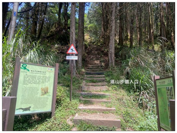 大塔山 (小百岳最高峰)2773183