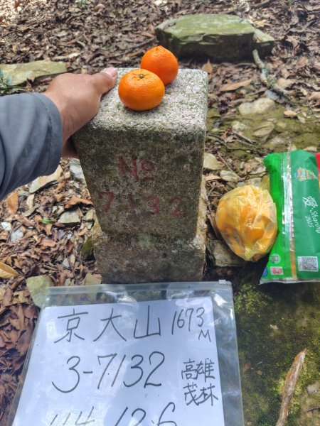 多納六秀 京大山2957599