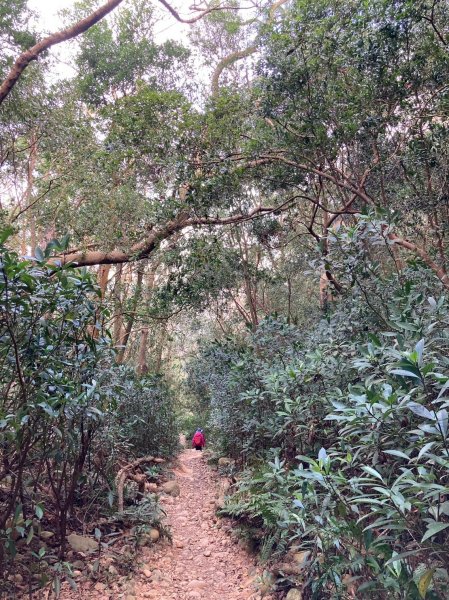 火炎山登山步道2386037