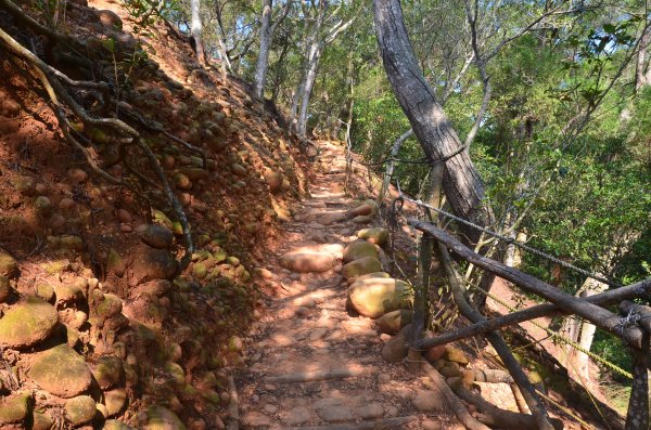 火炎山 - 南鞍古道1117192