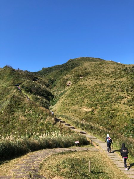 20191116草嶺古道灣坑頭山743306