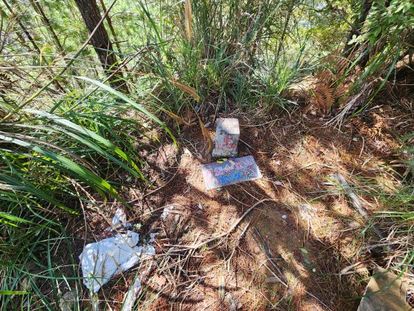 20241124布奴加里山2679124