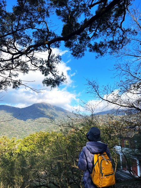 幸福五感森林癒2694321