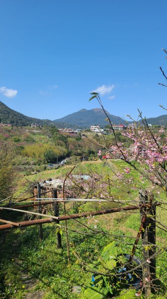 2025-0130溪和宮-大崎頭步道-鵝尾山-平溪步道-鵝尾山水田-42巷-溪山百年古圳-平菁步道2701932