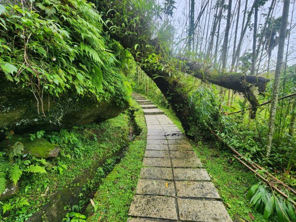 20250719頂湖上大凍山2907151