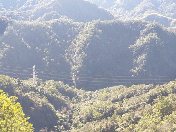 冬 / 冷冬暖陽石牛山1236513