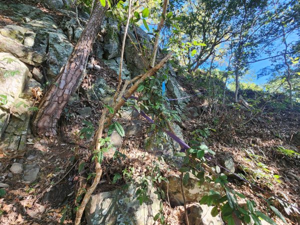 20241013東南稜上東卯山2670980