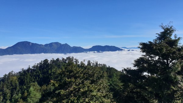 大雪山森林遊樂區+長壽山1157249