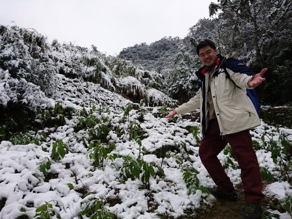 心靈安住的白雞山1452066