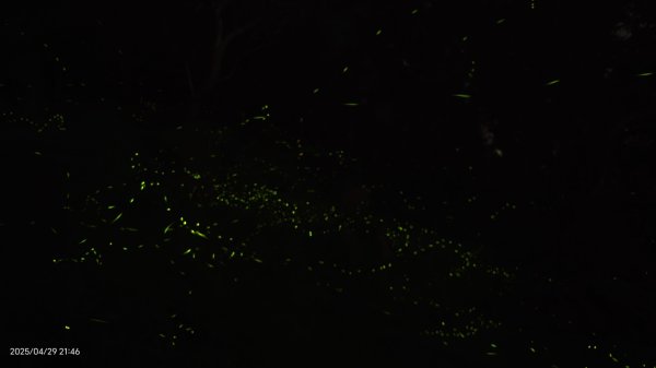 翡翠水庫壩頂 #火燒雲雲海 #日出雲海 #鱷魚島 #藍腹鷴 4/292773446