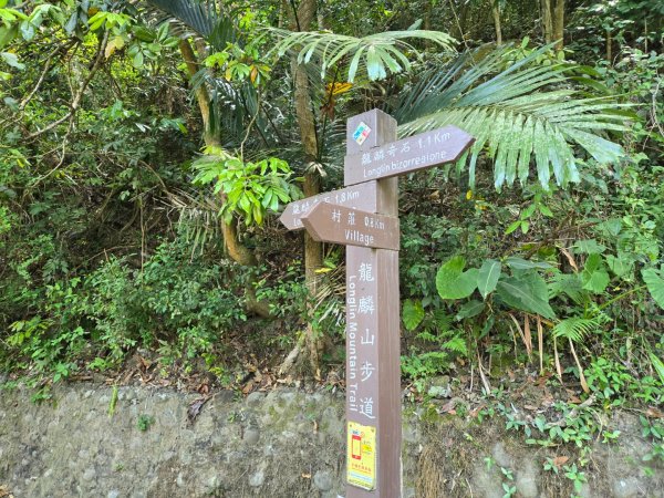 龍麟山步道2748672