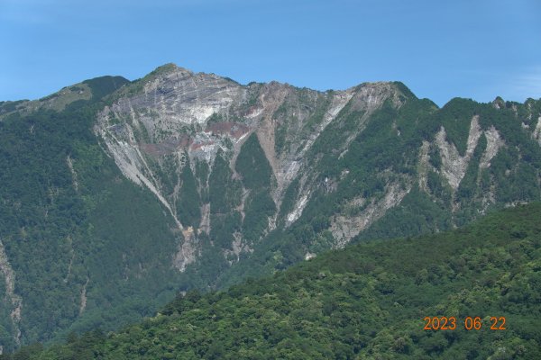 臺東 海瑞 戒茂斯山2193178