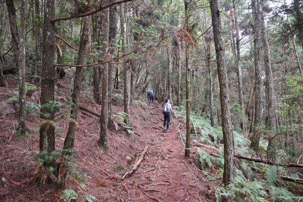 谷關七雄-馬崙山1st2888303
