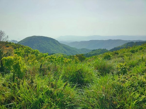 ［走遍陽明山］頂山石梯嶺步道+坪頂古圳2186460