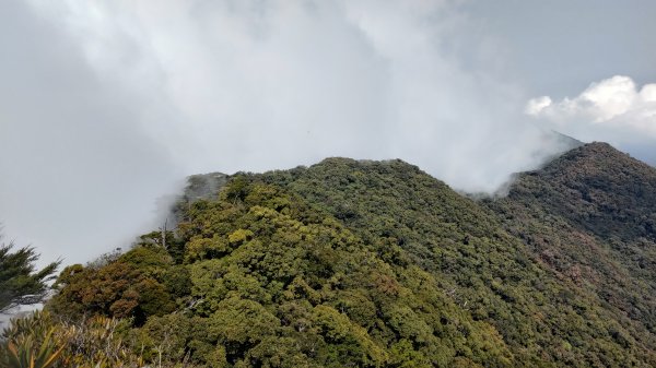 戶亞羅山2096283