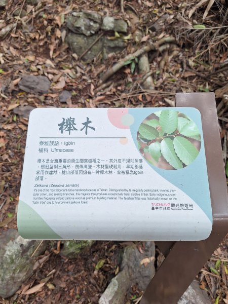 雪山坑步道202604223045721