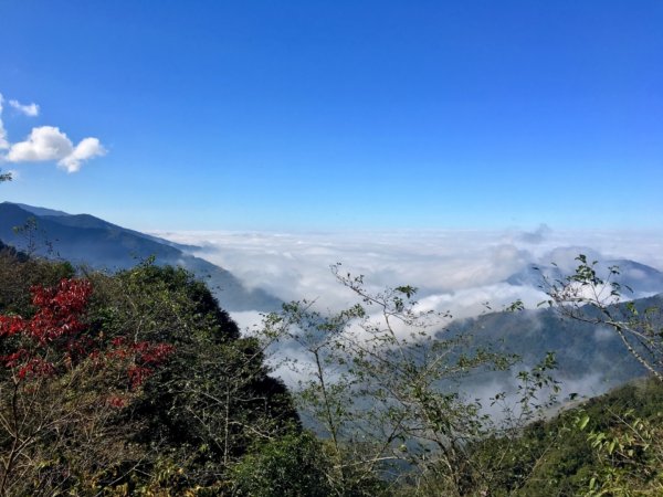 神秘李崠山的雲海、紅槭、古堡遺跡781228