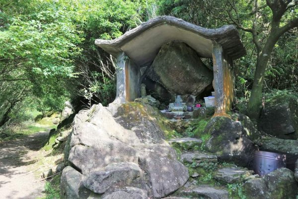 陽明山  菜公坑山 反經石   水車寮步道。林木蓊鬱  豐富的蕨類植披，絕佳避暑古道2174003
