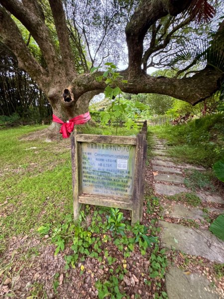 福人登山步道走大北坑小楊梅 O繞3130009