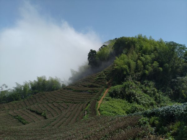 2023-05-28 雲嘉六連峰2166224