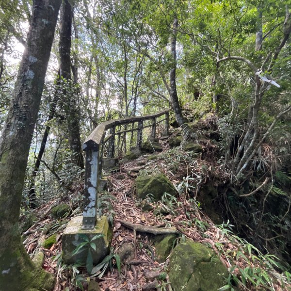 20250822_九份二山（南投小百岳）2941186